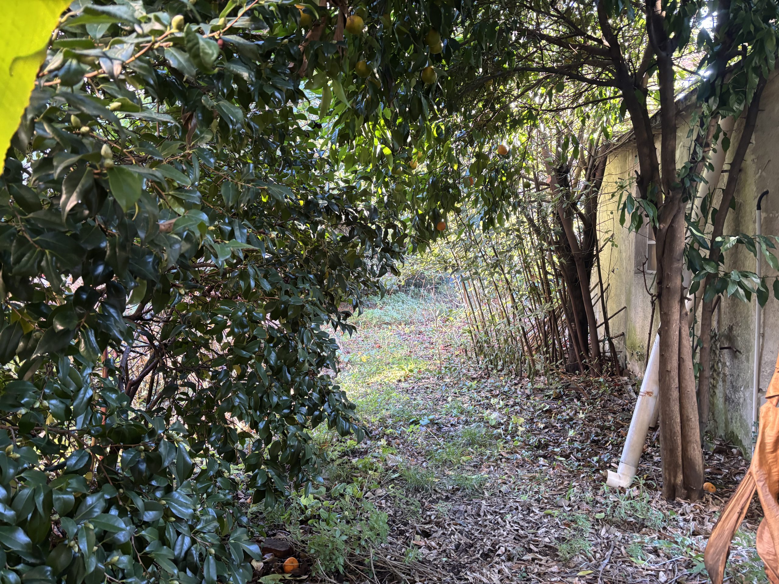 Busto Arsizio Centro 2 Locali con Giardino privato